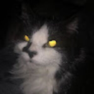 Meet your Posher, Matthew